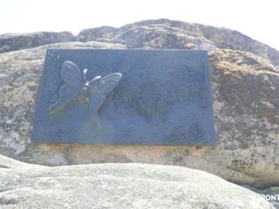 Montes de Peguerinos, cuna de la mariposa isabelina; viajes naturaleza salvaje senderismo para mayor